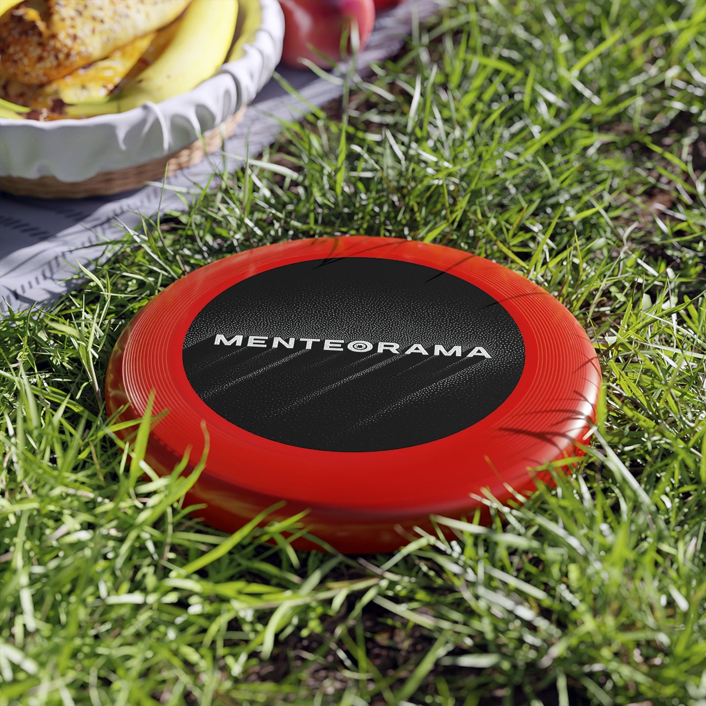 Frisbee 'MENTEORAMA'