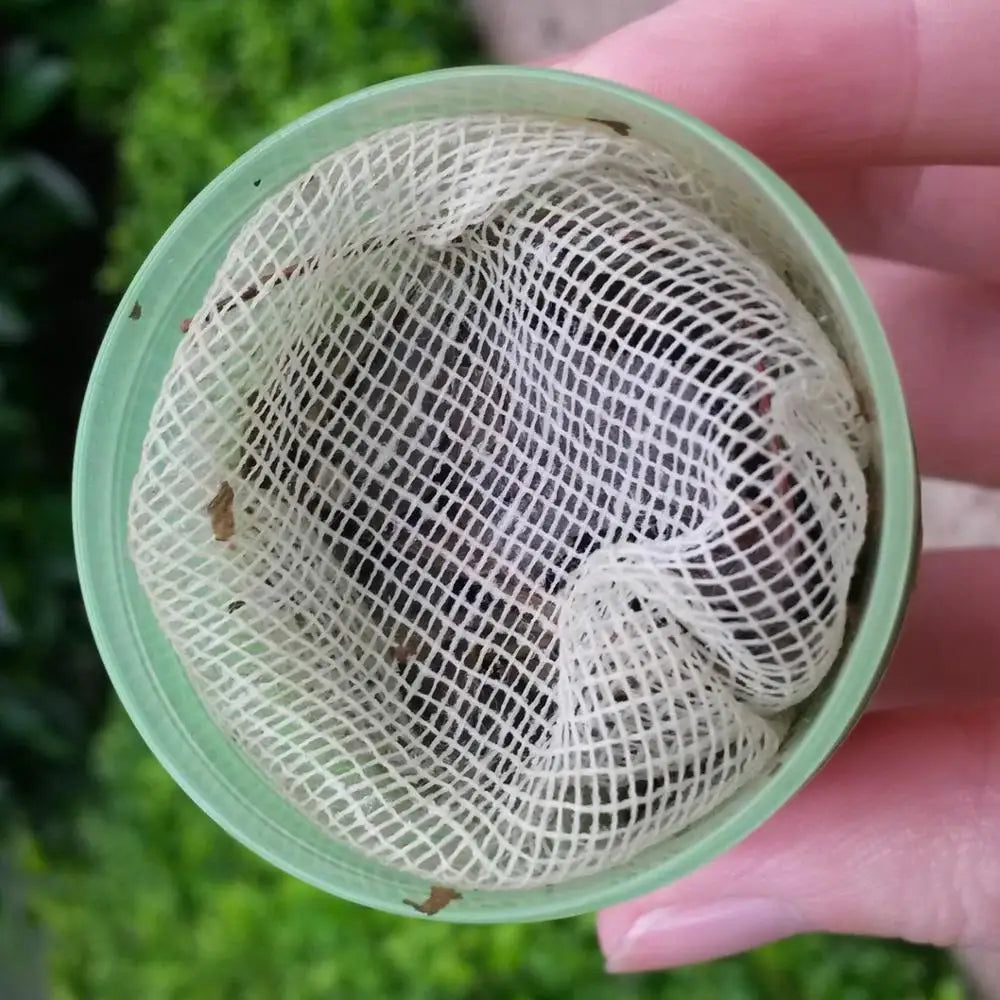 Hong Thai – Your Natural Brain Boosting Inhaler