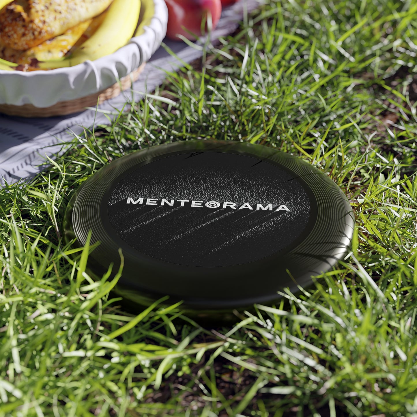 Frisbee 'MENTEORAMA'